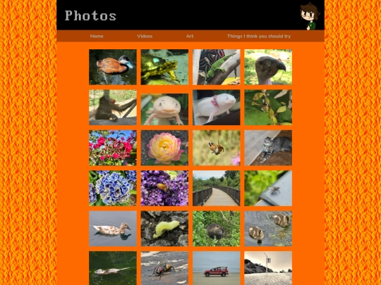 photos screenshot