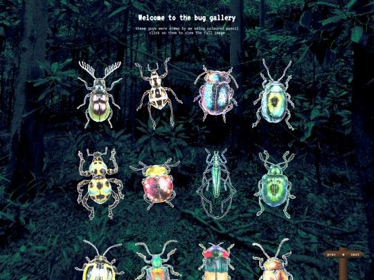 bugs screenshot