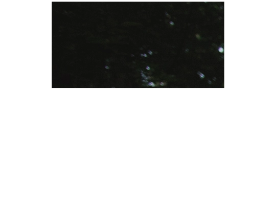 test screenshot