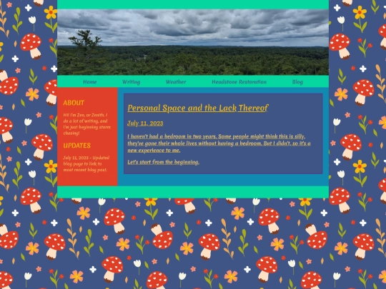blog screenshot