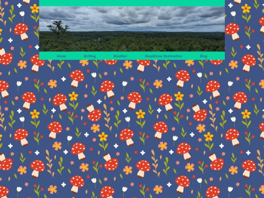 header screenshot