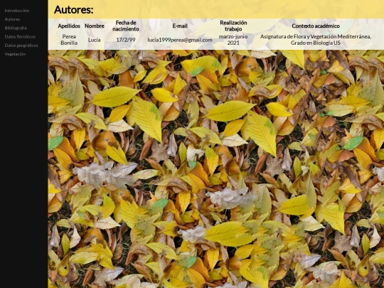 autores screenshot