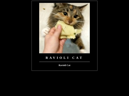 shrine/ravioli_cat screenshot
