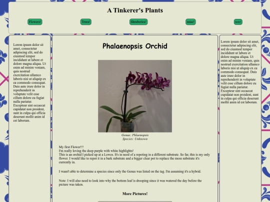 Orchid screenshot