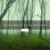 eldergloomgrove.neocities.org avatar