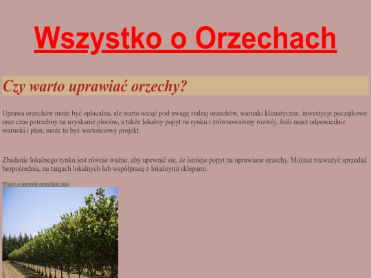 orzechy screenshot
