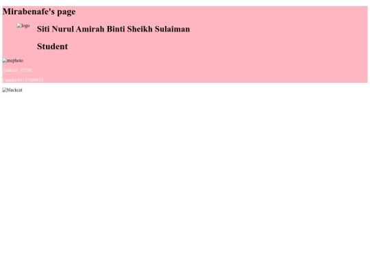 html screenshot