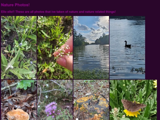 Nature screenshot