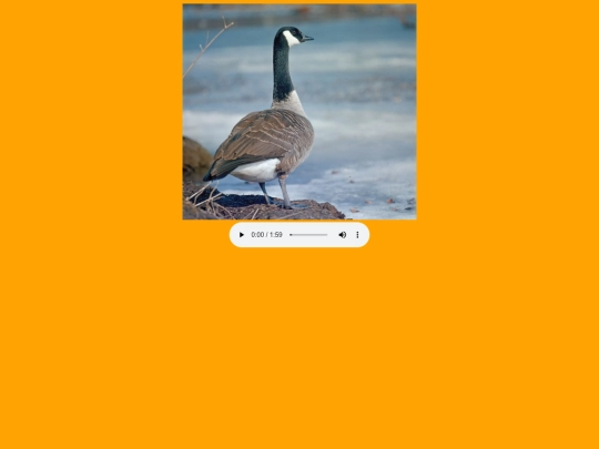 jokes/goose screenshot