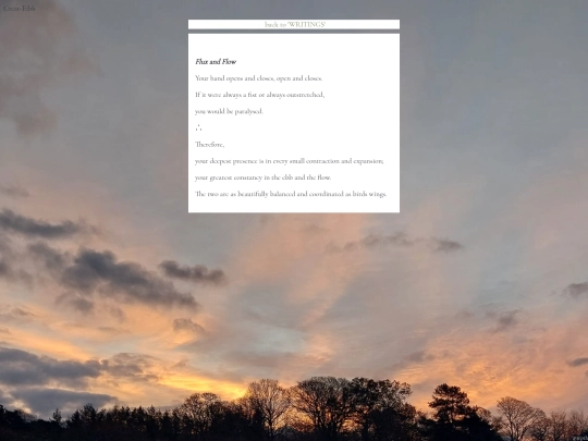 FluxandFlow screenshot