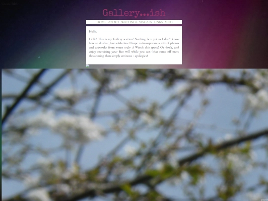 Gallery screenshot