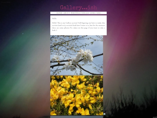 Gallery3 screenshot