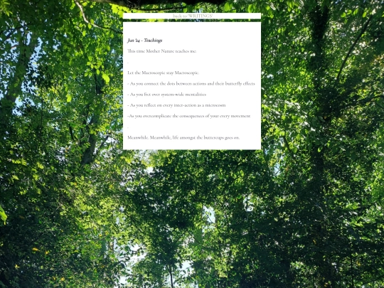 LifeInTheButtercupsTeachings screenshot