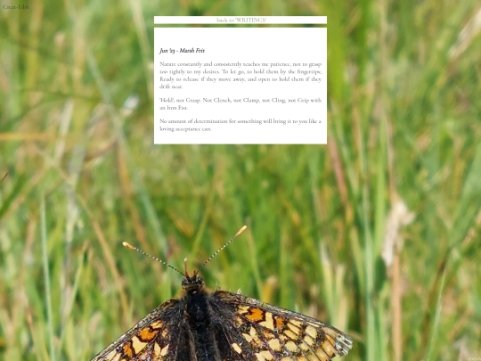 NaturesTeachings1 screenshot