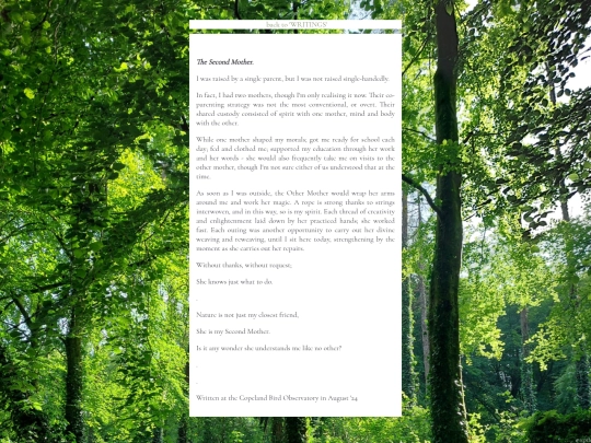 TheSecondMother screenshot