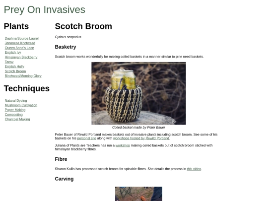 broom screenshot