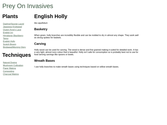 holly screenshot