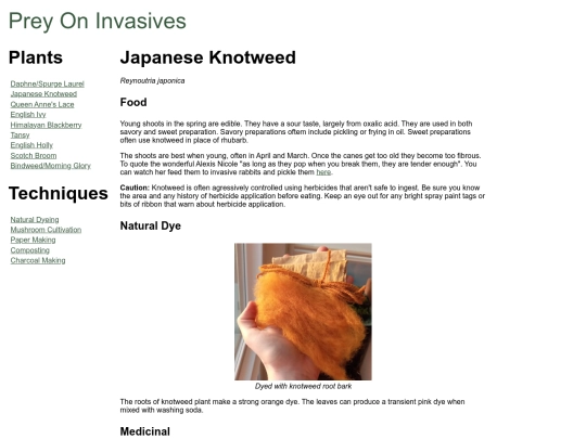 knotweed screenshot