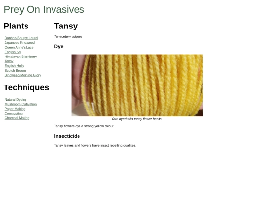 tansy screenshot