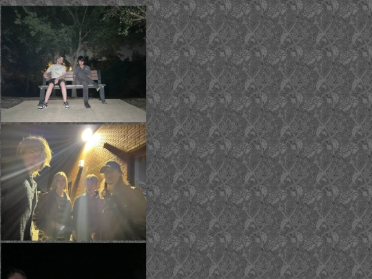 Gallery_Candid_Pics/Candid_Pics_Section_2/Section_2 screenshot