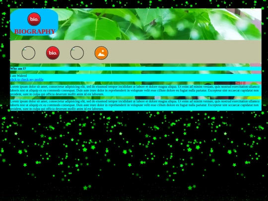 project/my bio screenshot