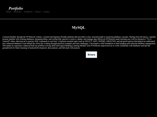 html/portfolio/mysql screenshot