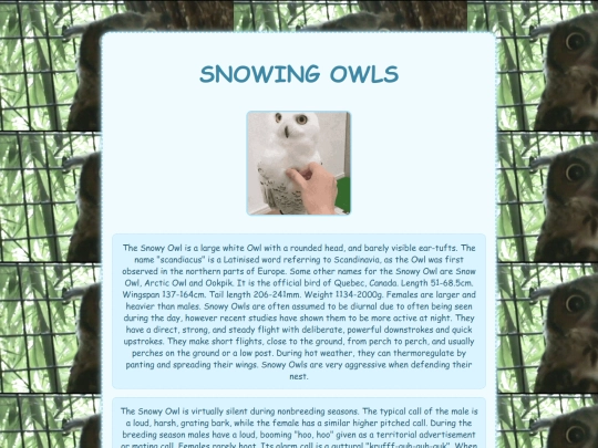 snow screenshot