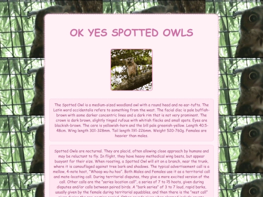spotted screenshot