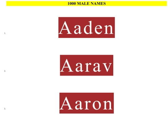 BANNERS/BULKnames/box3-1000malenames screenshot