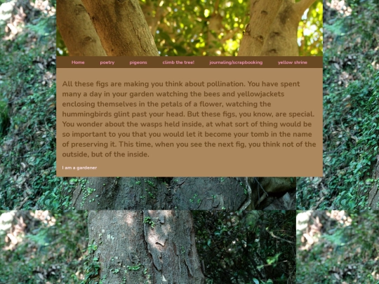 fig tree/garden screenshot