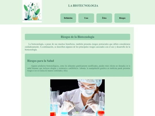 java screenshot