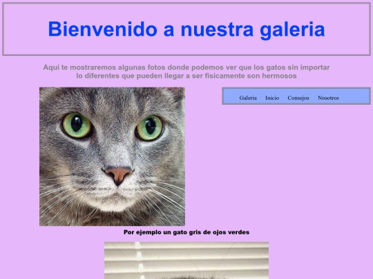 galeria screenshot