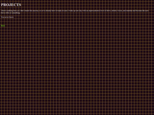 projects screenshot