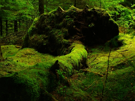 home screenshot