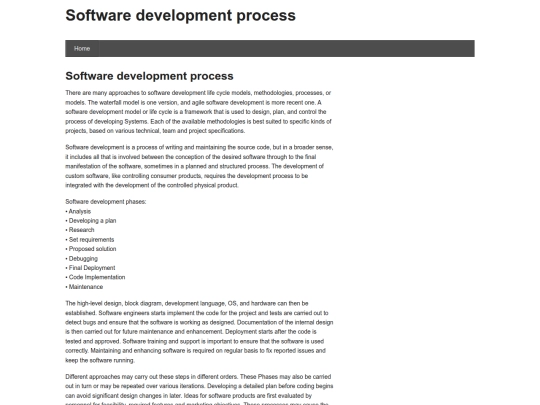 soft_development screenshot