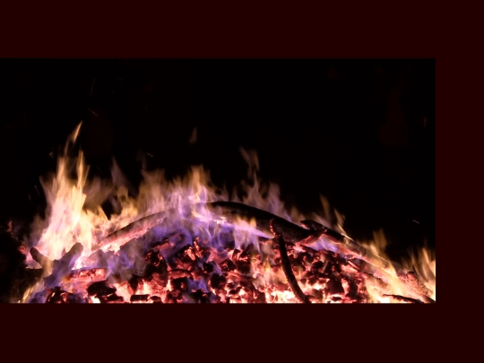 Wood/X/666 screenshot
