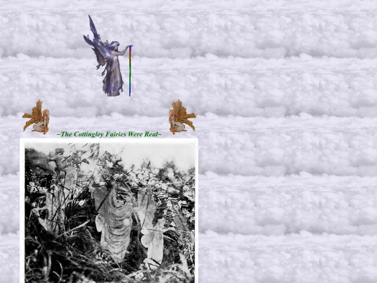 c_f/The_Cottingley_Fairies_Were_real screenshot