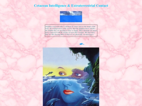 cetacean_intelligence screenshot