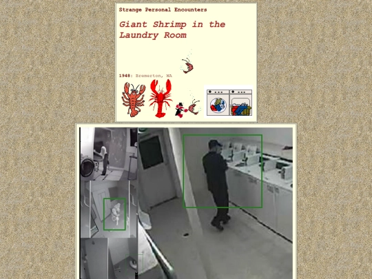 gallery/encounters/giant_shrimp_in_the_laundry_room screenshot
