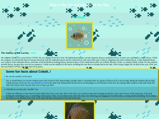 cobalt screenshot