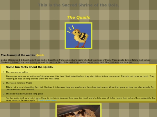 quail screenshot