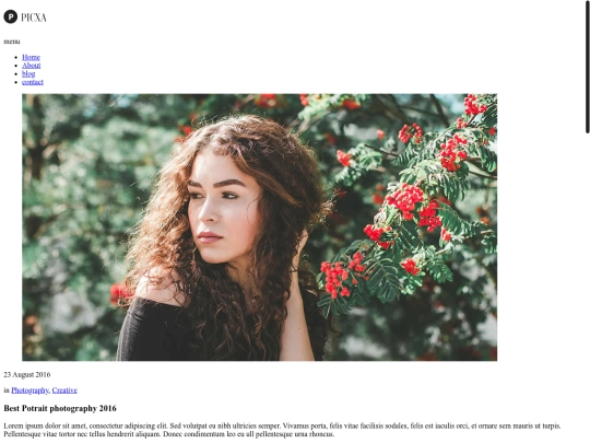 blog-details screenshot