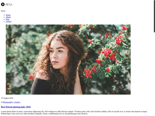 blog screenshot