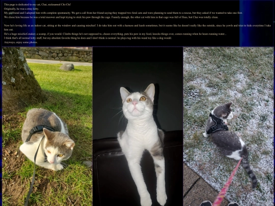 cat screenshot