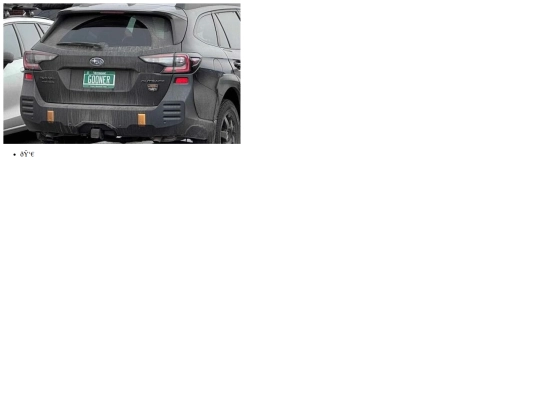 plates/gooner screenshot