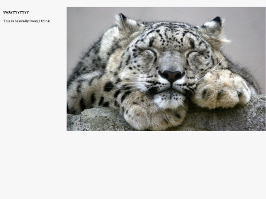 sway screenshot