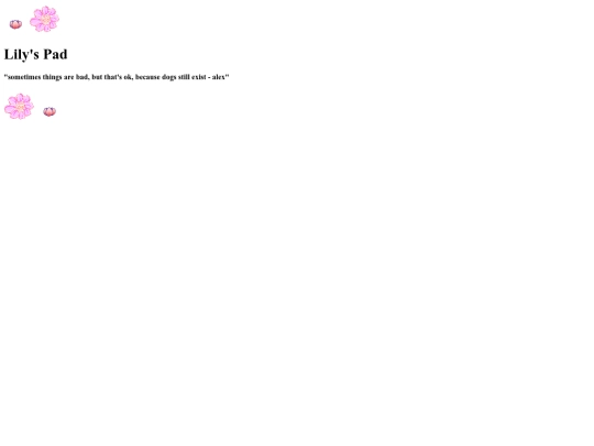 header screenshot