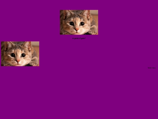 prueba screenshot