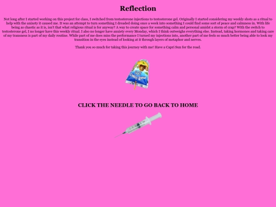 reflection screenshot