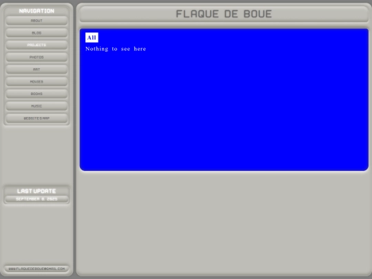 projects screenshot
